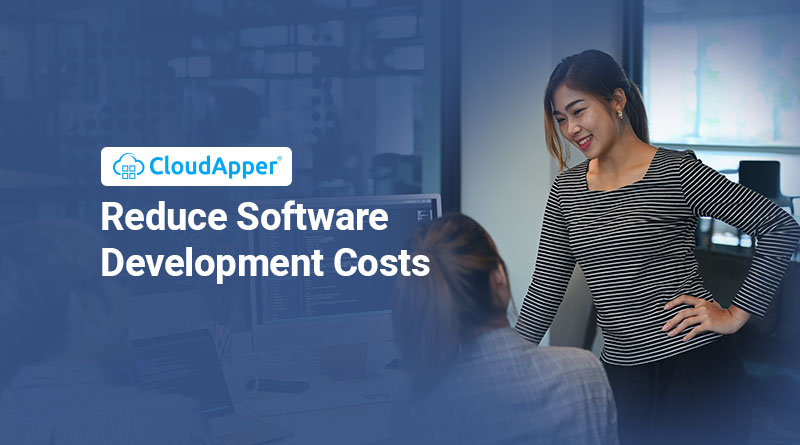 Ways To Reduce Software Development Costs Without Losing Quality
