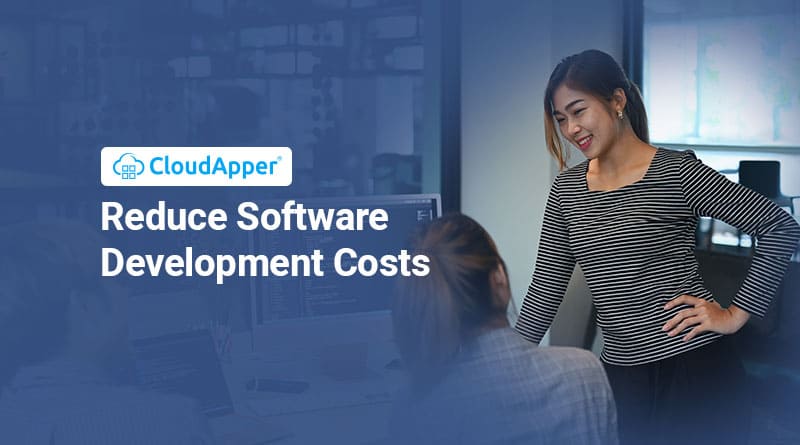 Ways To Reduce Software Development Costs Without Losing Quality