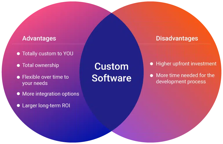 Custom-Software-pros-cons