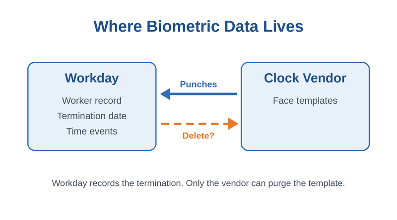 Where biometric time clock data lives with Workday