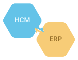 Costly-HCM-ERP-Integrations